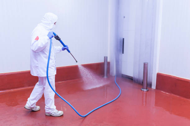 Trusted Mogul, NV  Pressure Washing Services Experts